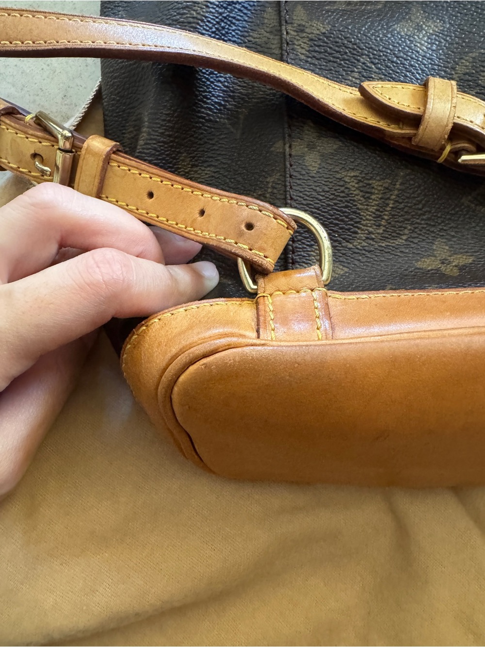 LV Mono Montsouris PM Backpack - Picture 10 of 16